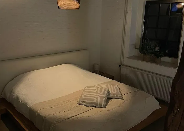 Сasa de vacaciones Japandi Lounge - Den Bosch- Sauna- Tub- Pizza Oven