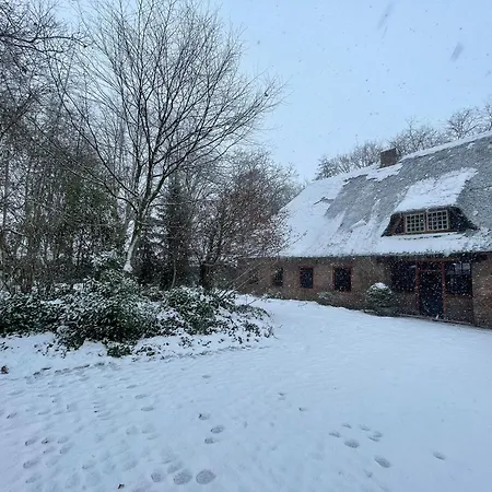 Japandi Lounge - Den Bosch- Sauna- Tub- Pizza Oven