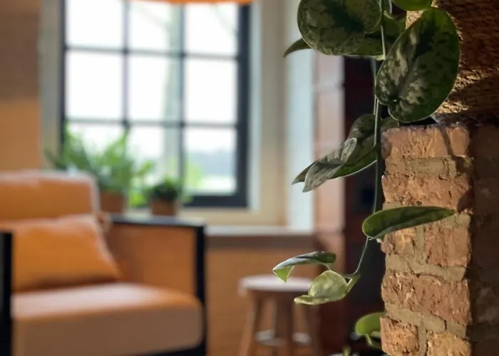 Japandi Lounge - Den Bosch- Sauna- Tub- Pizza Oven Nyaraló *