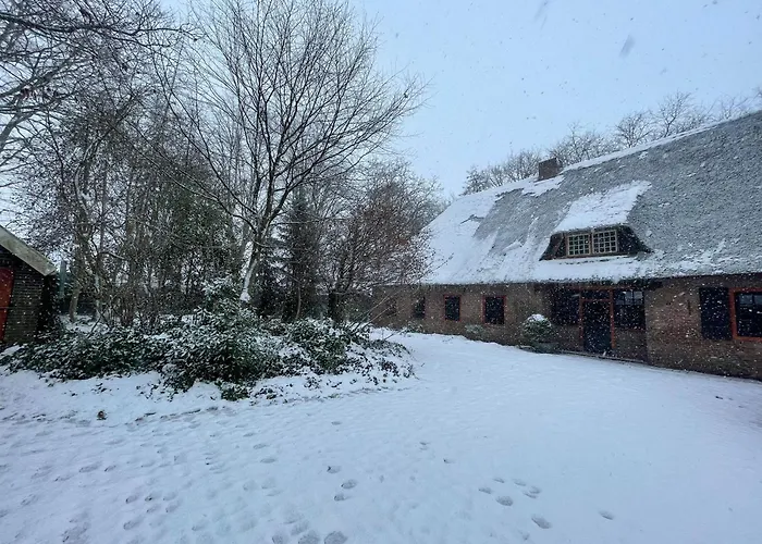 Japandi Lounge - Den Bosch- Sauna- Tub- Pizza Oven